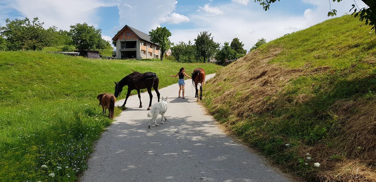 Ferienwohnung Apartma Pri Bostjanu Škofja Loka Exterior foto