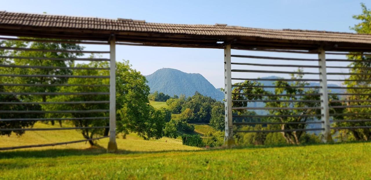 Ferienwohnung Apartma Pri Bostjanu Škofja Loka Exterior foto