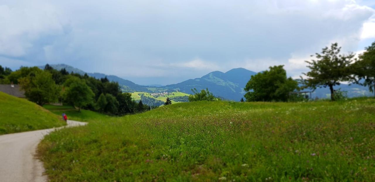 Ferienwohnung Apartma Pri Bostjanu Škofja Loka Exterior foto