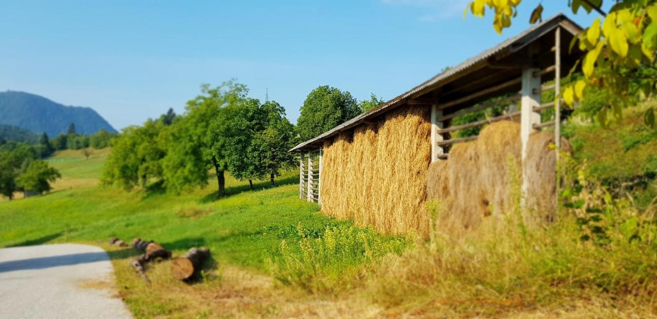 Ferienwohnung Apartma Pri Bostjanu Škofja Loka Exterior foto