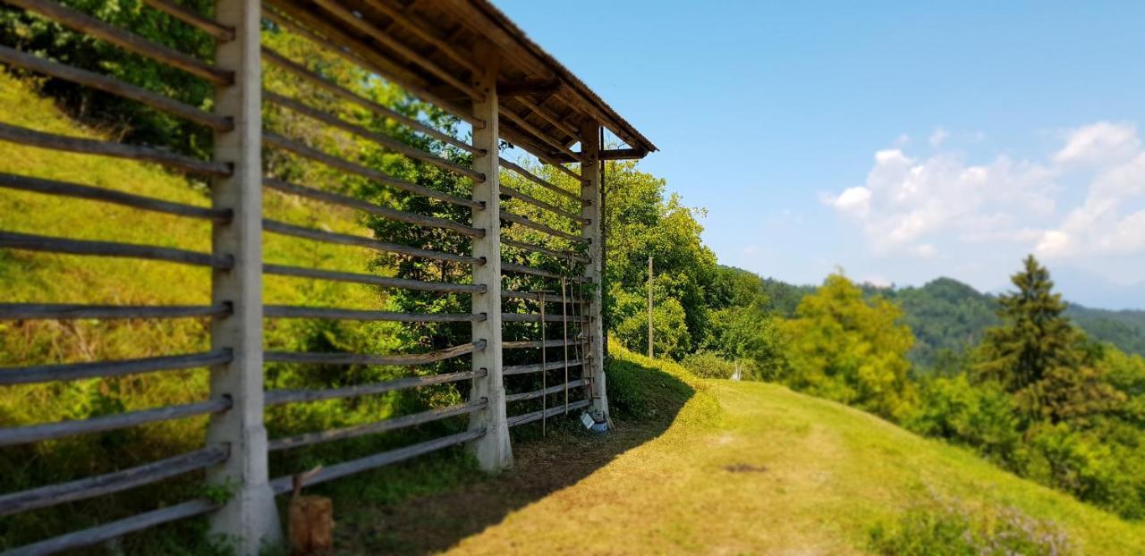 Ferienwohnung Apartma Pri Bostjanu Škofja Loka Exterior foto